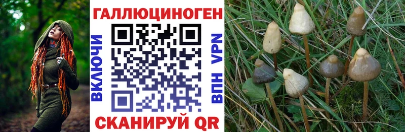 Псилоцибиновые грибы MAGIC MUSHROOMS Верхний Тагил